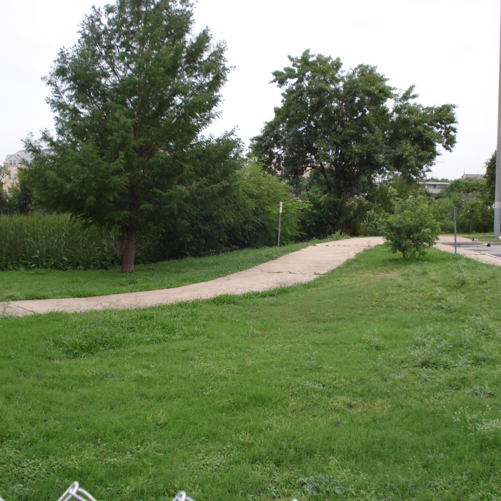 Bioswale 5-12-15