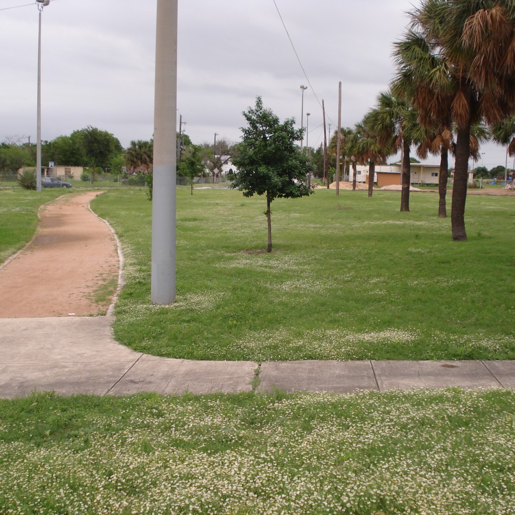 Parking Lot 1 5-12-15
