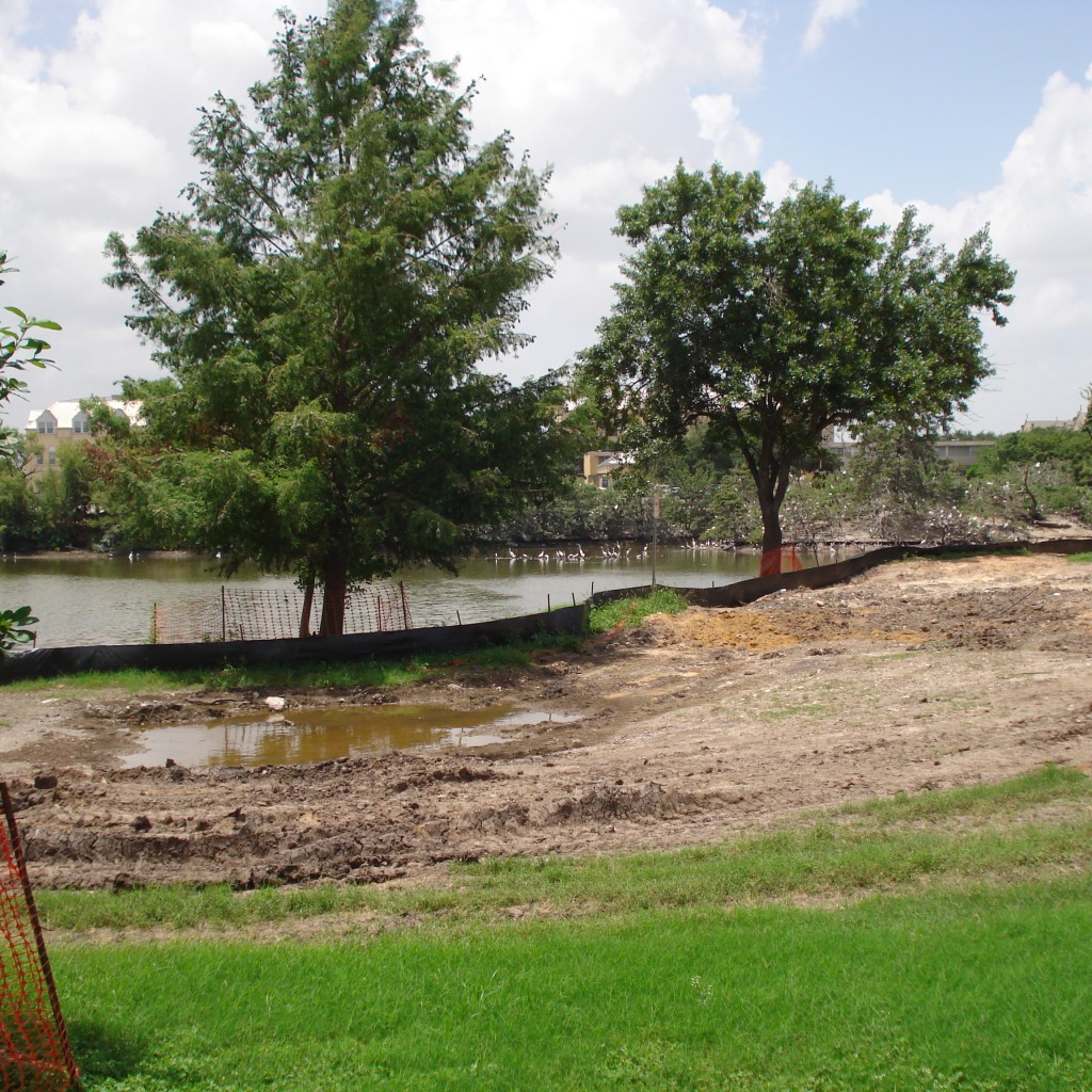 Bioswale 6-29-15