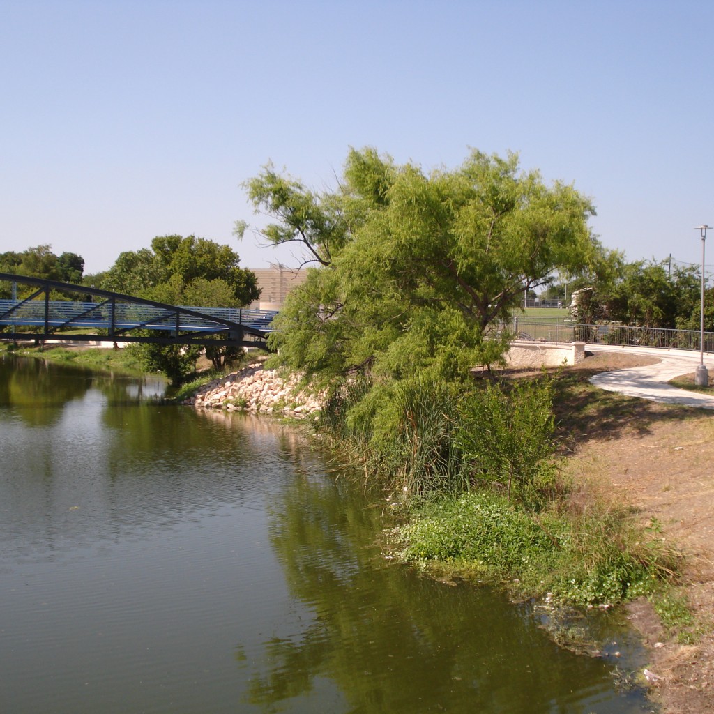 DSC07520