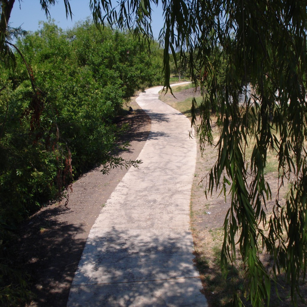 DSC07524