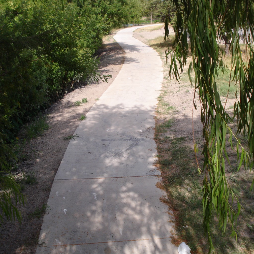 DSC07803