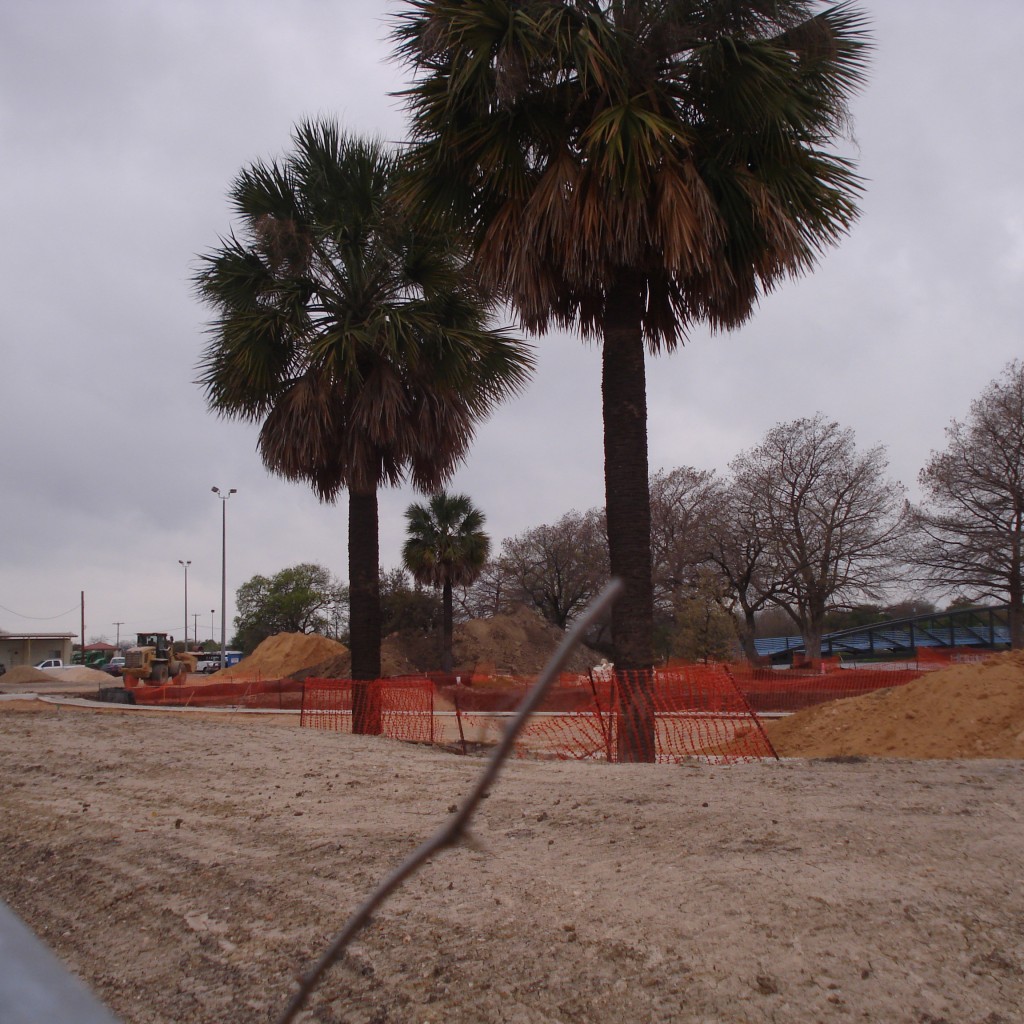 Parking Lot 3-7-16