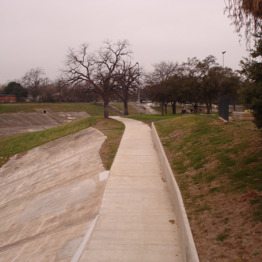 Zarzamora 1-6-16